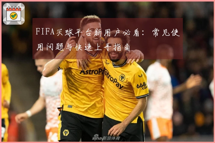 FIFA买球平台新用户必看：常见使用问题与快速上手指南
