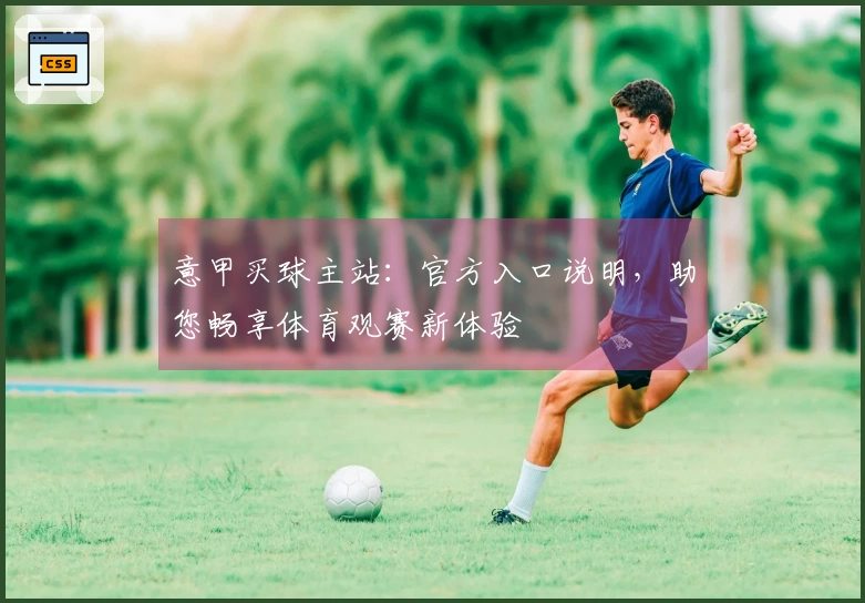 意甲买球主站：官方入口说明，助您畅享体育观赛新体验
